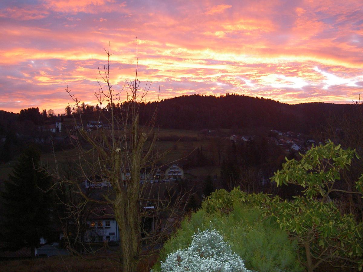 Ferienwohnung Haus Am Duerrberg "St. Georg" Warmensteinach Exterior foto
